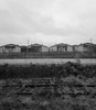 8. Linhas rurbanas